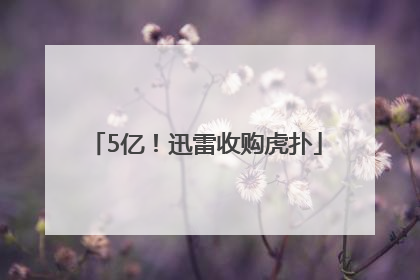 5亿！迅雷收购虎扑