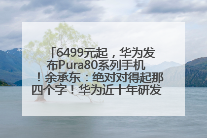 6499元起，华为发布Pura80系列手机！余承东：绝对对得起那四个字！华为近十年研发投入12490亿元
