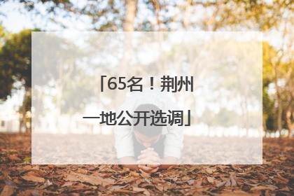 65名！荆州一地公开选调