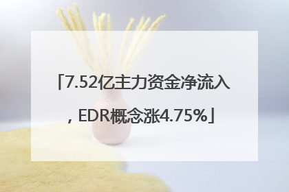 7.52亿主力资金净流入，EDR概念涨4.75%