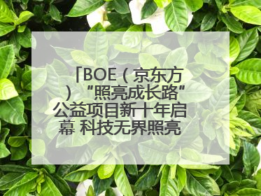 BOE（京东方）“照亮成长路”公益项目新十年启幕 科技无界照亮美好未来