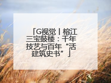 G视觉丨榕江三宝鼓楼：千年技艺与百年“活建筑史书”